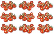 Tomaten-9x7.jpg